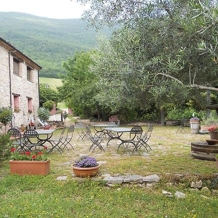 Il Giardino Degli Ulivi Villa Castelraimondo Екстериор снимка