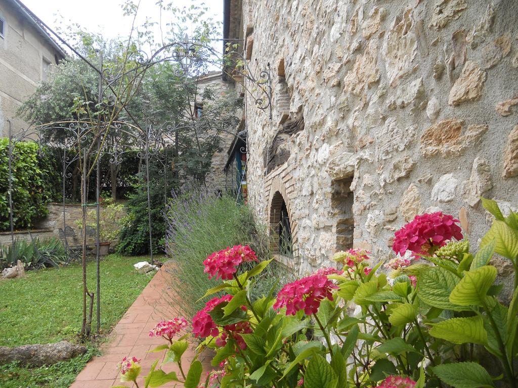 Il Giardino Degli Ulivi Villa Castelraimondo Екстериор снимка