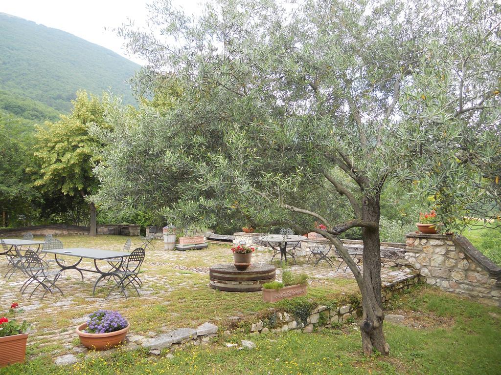 Il Giardino Degli Ulivi Villa Castelraimondo Екстериор снимка